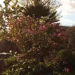 Appartement Magnolia *