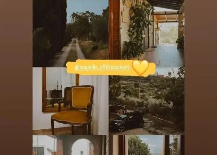 Appartement Magnolia Cortone