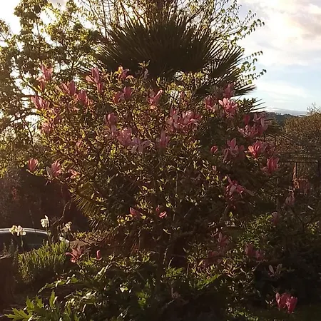 Apartment Magnolia *