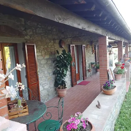 Magnolia * 哥尔顿