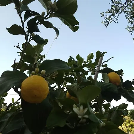 Appartement Magnolia