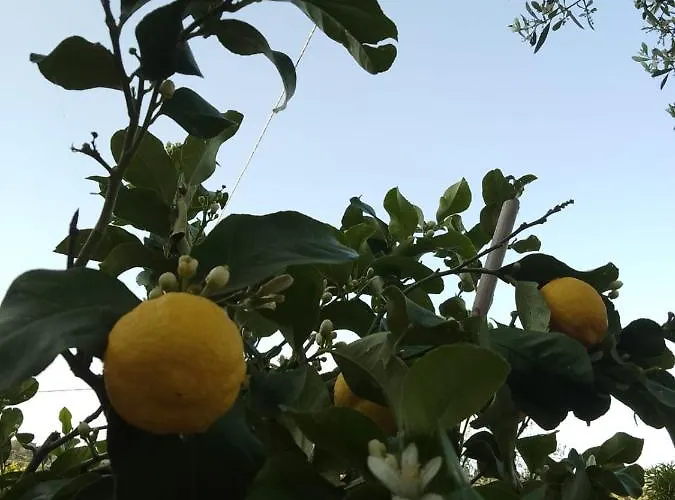 Appartamento Magnolia