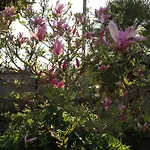 Lejlighed Magnolia *