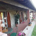 Magnolia * Cortona