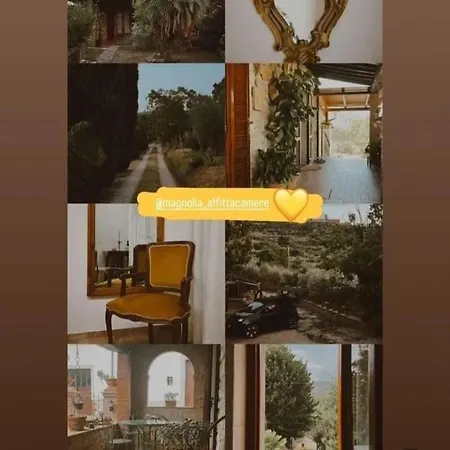 شقة Magnolia كورتونا